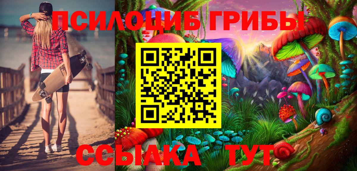 Псилоцибиновые грибы ЛСД  Вход с VPN  купить наркотики цена  Нарткала 