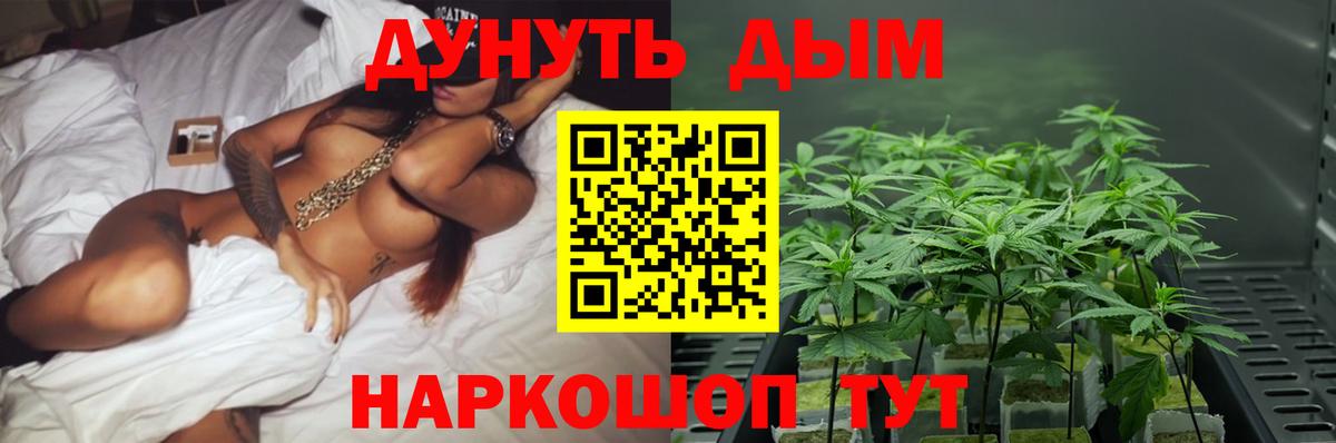 Нарткала  Бошки марихуана MAZAR  Вход с VPN  Каннабис план  Бошки Шишки ГИДРОПОН 